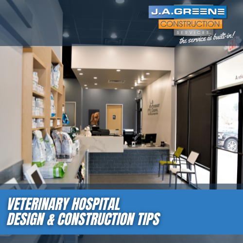Veterinary Hospital Design and Construction Tips